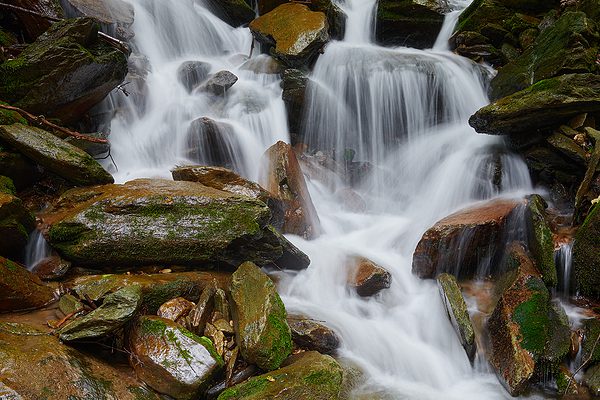waterfall in Pisgah Forest